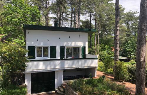 Maison Sapinettes - Foto 1