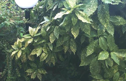 Secret Garden Apartment with private parking space - Photo 31