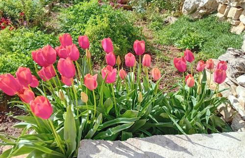 Modern Robinson Veli Bare - Photo 41