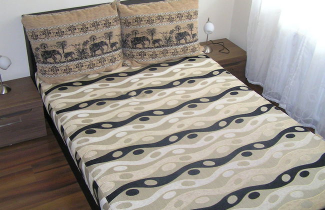 Gréta Wellness Apartmanok - Szt László u - Foto 2