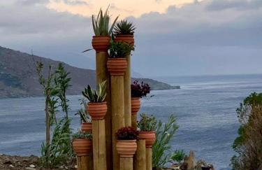 ΠΕΤΡΙΝΟ στην Άνδρο - Foto 22