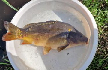 Lubie Apartments Lubieszewo - Foto 75