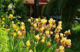 Home & Gardens 2-bed Villa in Sevasti, Katerini - Photo 33