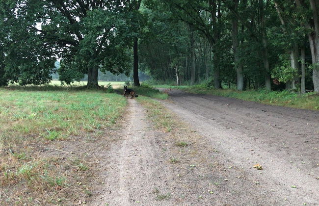 Charming Holiday Home in Wolin With Terrace - Foto 51