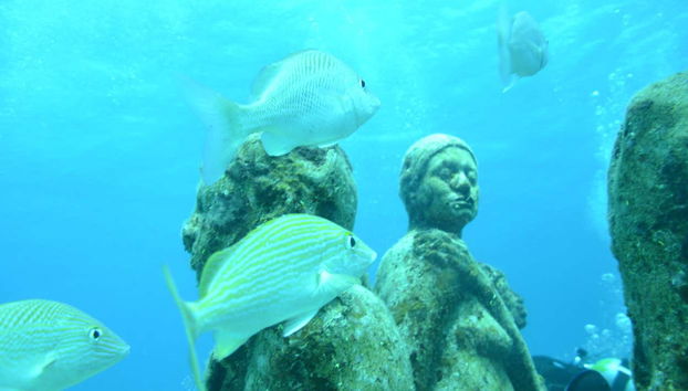 Glass Bottom Boat Tour - Foto 5