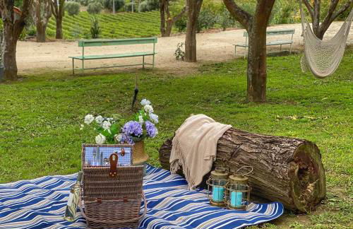 Quinta da Salada - Turismo Rural - Foto 46