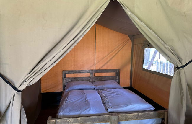 Europarcs Hoge Kempen - Foto 39