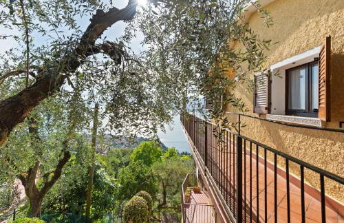 Terrazza Torri del Benaco - Foto 8