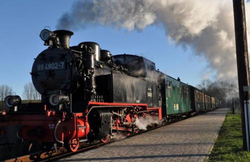 Fewo Storchennest - Foto 20