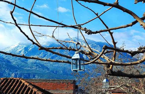 Archontiko Kastellia - Stone Guesthouse with Fireplace and Mountain View - Foto 22