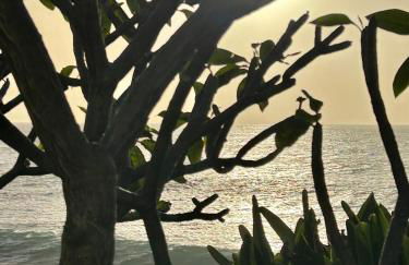 Casa Carneirinho by Olá Madeira - Foto 54