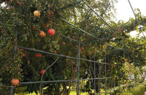 Cueva Sasha - Foto 20