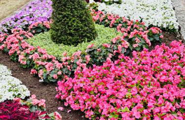 Ferienwohnung La Bohème - Foto 23