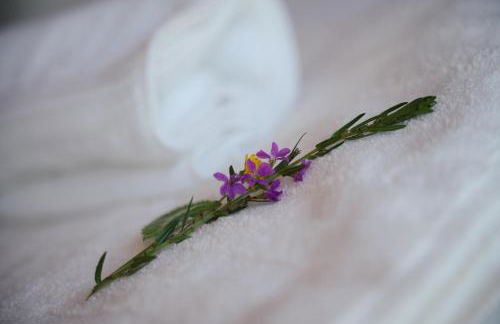 Hórreos de Abrela - Foto 16