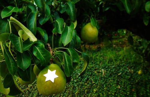 Agritur Leita - Foto 66