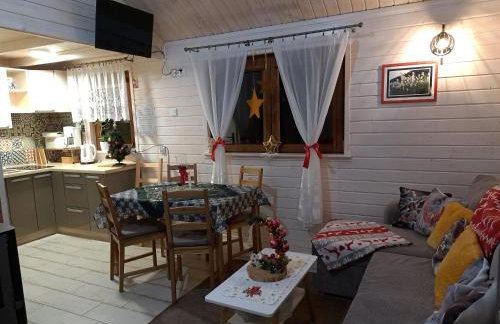 Domki Borowiackie nad brzegiem jeziora - Foto 7