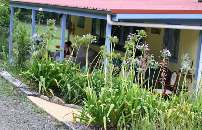 Arcadia Retreat - Foto 19