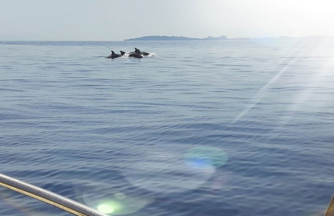 Bohemia Beach House Villa Near North-east Coast - Foto 22