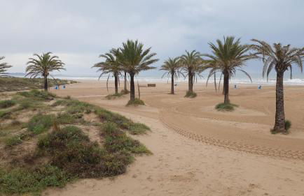 Hola Gandia - Foto 40