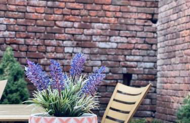 1850s historic Row House 7min train to NYC with private backyard - Foto 36