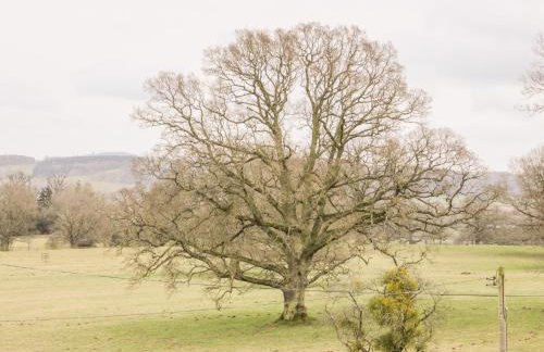 Oakland Cottage - Foto 32