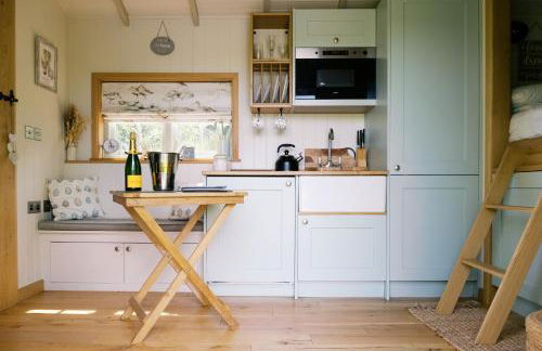 Shepherd's Hut- Hot Tub- Wellness Spa- Wood Burner - Foto 12