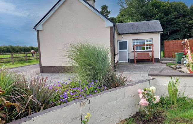 Farm View Cottage Castlerea - Photo 25
