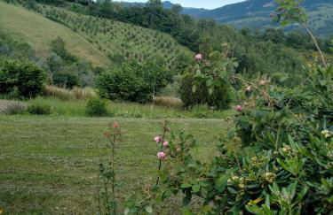 Agriturismo Bellavista - Foto 24