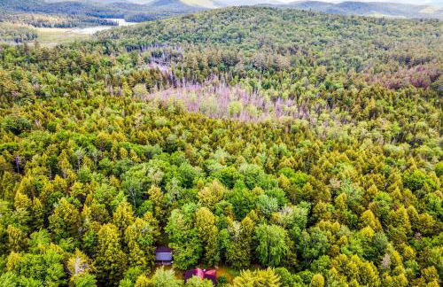 Lost Pond Cabin - Foto 28