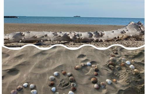 Casa Littoral - Foto 10