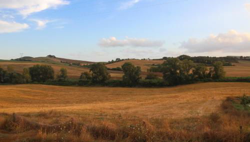 Agriturismo iOlive Tuscany appartamento Pendolino - Foto 3