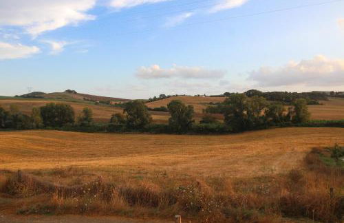 Agriturismo iOlive Tuscany appartamento Pendolino - Foto 3