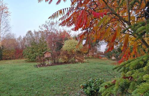 Pod Wierzbą Apartament na Kaszubach - Foto 27