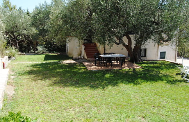Barnìa - Agriturismo - Photo 28
