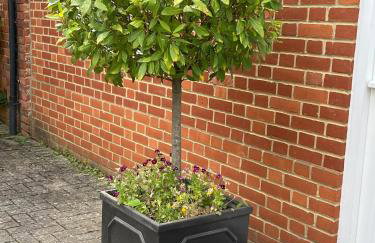 Mews house in the centre of Henley-on-Thames - Foto 16