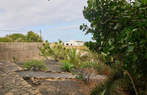 Molino de el Roque - Foto 21