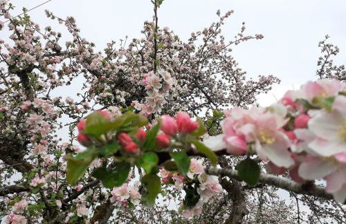 Ferienwohnung 5 - Foto 17