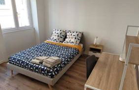 Bel Appart' 3 chambres 3 Sdb au centre-ville St Etienne - Foto 7