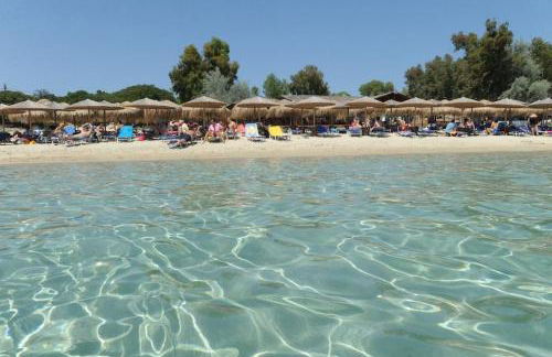 Villa Leon - Foto 58