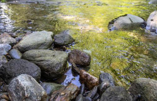 Smuggler's Notch Mountain House with hot tub & river - Foto 63