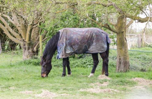 Owls Retreat - Foto 28