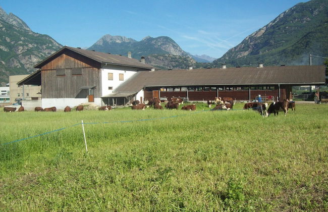 Agriturismo La Grange - Foto 30