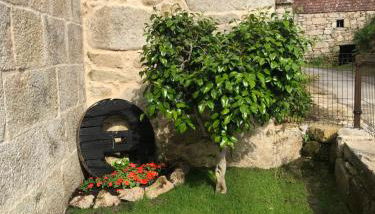 Casa Lisboana - Foto 5, Garden