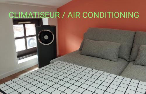 Le Nid Douillet de l'Hypercentre - Foto 14