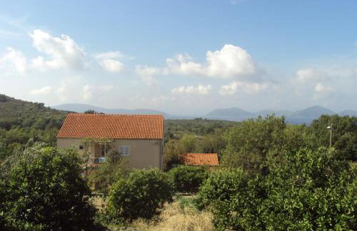 Apartments Jelić - Foto 13