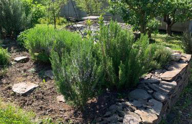 Am Kräutergarten - Foto 27