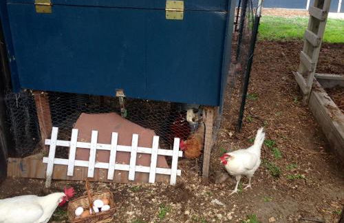 Historic Home with Farm Fresh Eggs in Denver - Foto 37