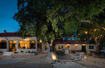 Tosic Estate - Villa, Vineyards and Winery - Foto 46