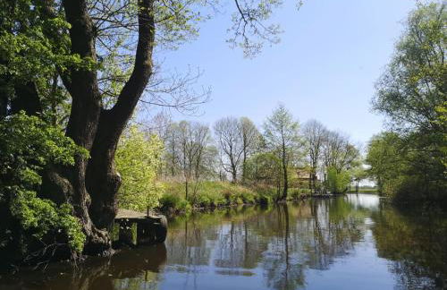 Ferienwohnung Boven - Foto 42