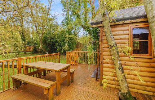 Bears House - Foto 8